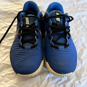 Nike Mens Royal Blue Turf Shoe